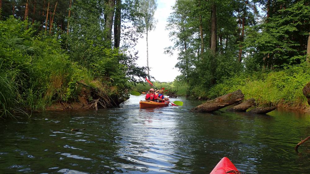 Szlak kajakowy Białka Lelowska