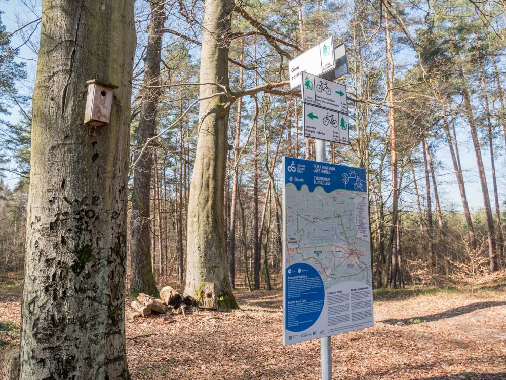 Pętla rowerowa Lasy Rudzkie