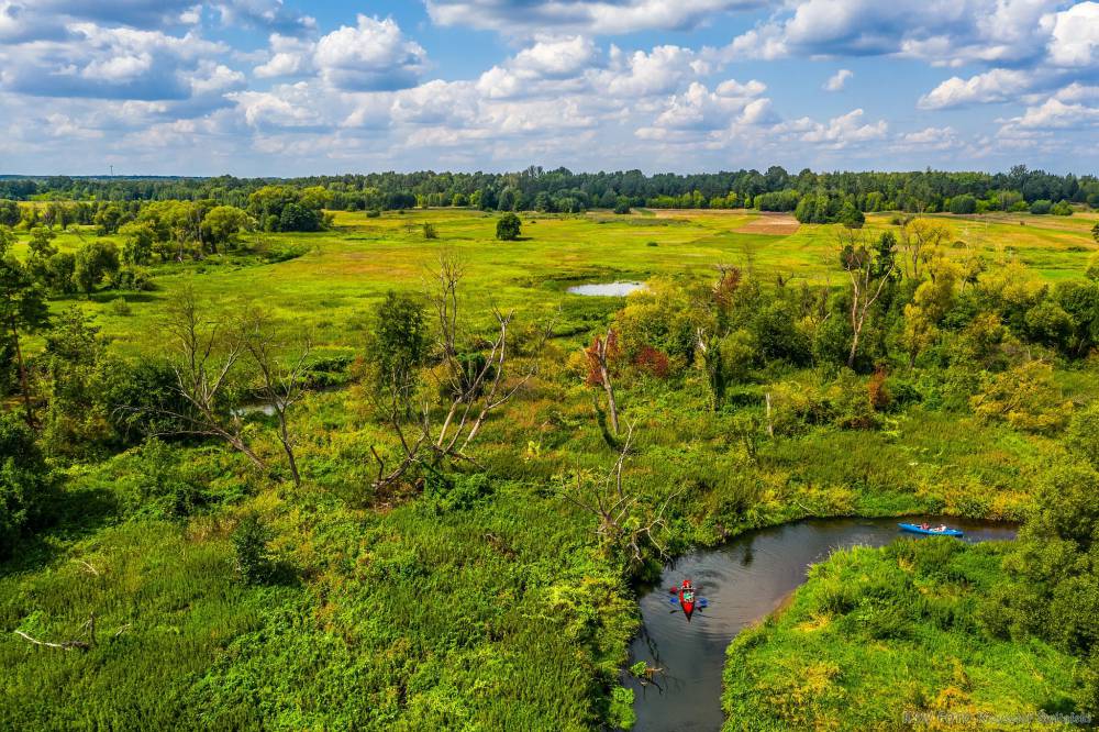Kajakarstwo w Śląskim