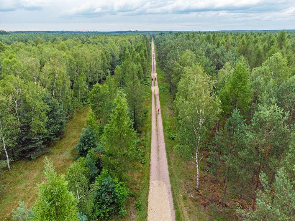 Gdzie na rower w Śląskim?